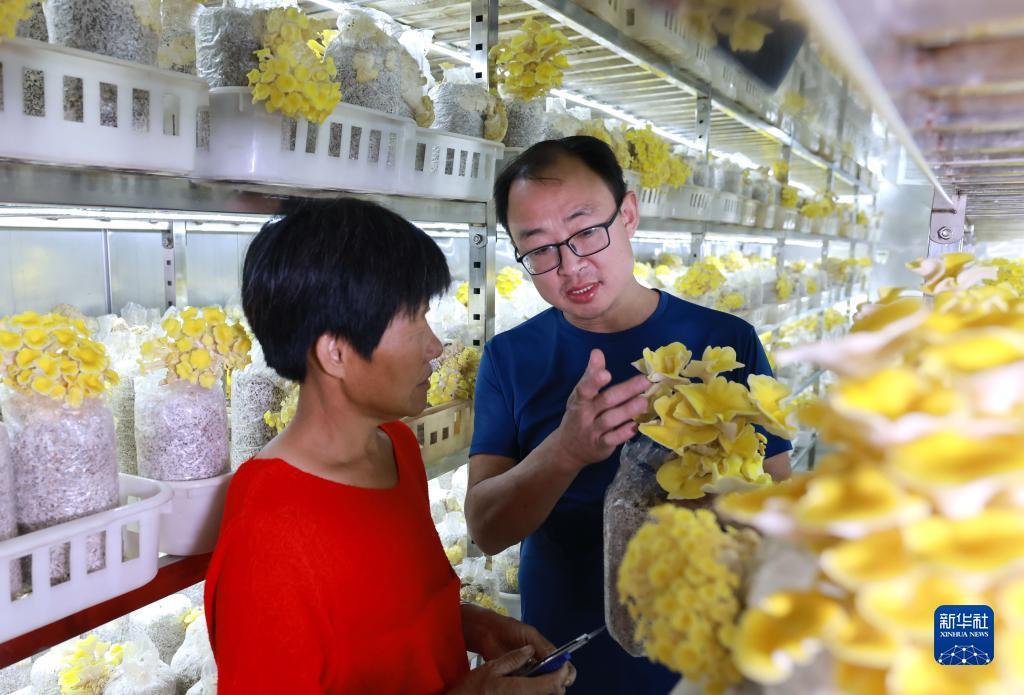 启航娱乐平台网址